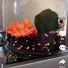 bobberniethemossballfan - @bobberniethemossballfan - TikTok