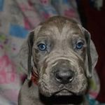 Bernie Mueller - @muellerbernie - Instagram