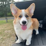 Bernie Murray - @weekend_with_bernie_ - Instagram