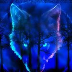 Bernie Pearson - @bernie.pearson.9 - Instagram