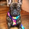 Bernie Petember Barketing Asst - @varietypetember - TikTok
