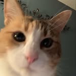 Bernie R - @bernie.roy.9 - Instagram