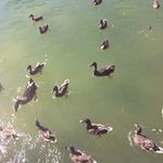 Bernie Ryan - @bernie.ryan.1656 - Instagram