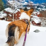 Bernie Schultz - @bernieschultz98 - Instagram