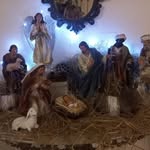 Bernie Schultz - @bernie.schultz.528 - Instagram
