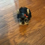 Bernice Simmons - @bsimmons230c - Instagram
