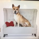 Bernie Valentino - @bernievalentino - Instagram