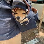 Bernie wang - @ccoct28 - Instagram