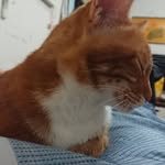 Bernie Wang - @nimean21 - Instagram