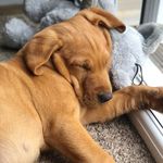 @bernie.j.watson - Instagram