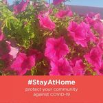 Bernie Watson - @bernie.watson.58 - Instagram