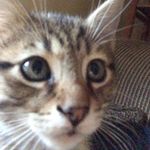 bernie bean - @berniewinterton - Instagram