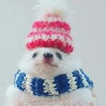 Bernie Winters - @bernie.winters2 - Instagram