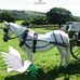 Bernie Wright - Facebook