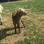 Bernie Wright - @bernie.wright.79 - Instagram