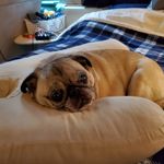 Bernie Wright - @boineywright333 - Instagram