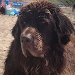 Bernie Wright - @thewrighthouse66 - Instagram