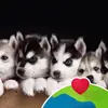 Bernie yang - @user9047071706030 - TikTok