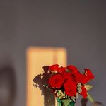 bernieyang - @bernieybn - Instagram