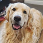 Bernie Ward-Young - @goldenboy_bernie - Instagram