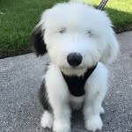 Bernie Young - @weekend_at_bernies0322 - Instagram