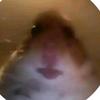 Berni game - @bernat265 - TikTok