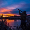 Hunting Channel - @berettahunter - TikTok
