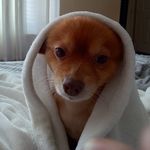 Bernita Smith - @kodiak_clean - Instagram