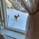 Bernt Jonsson - @berntegonjonsson - Instagram