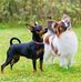 Berry Clark - Facebook