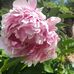 Berry Clark - Facebook