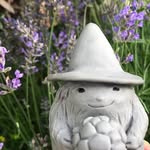 Earth Berry Grove - @earthberrygrove - Instagram