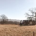 Katherin - @berrygrovefarm - Instagram