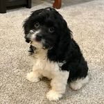 Berry Oakley Staples - @berry_oakley_staples - Instagram