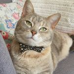 Oakley_Berry - @oakley_berry - Instagram