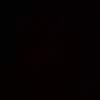 Oakley Berry - @oakleyberry - TikTok