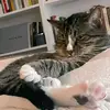 Berry Walker - @berry.walker3 - TikTok