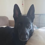 Berry Webb - @bobapberry - Instagram