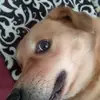 Berti 😜 - @bertaangeleslazar - TikTok