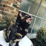 Bert Backup01 - @bert_backup01 - Instagram