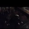 berts_back - @berts_back - TikTok