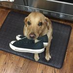 Bert Baker - @bertbaker1310 - Instagram