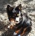 Roberta Dawson - Facebook