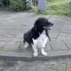 Bert Dekker - @bertdekker75 - TikTok