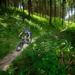 Bert De Vos - @vosdebert - Instagram