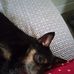 Bert Dixon - Facebook