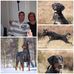 Bert Petra Dohmen - Facebook