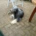 Bertie Dohmen - Facebook
