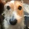 Bert Doolen - @doolen77 - TikTok