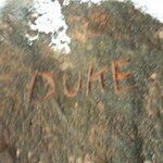 Rob Duke - @robert.duke.528 - Instagram